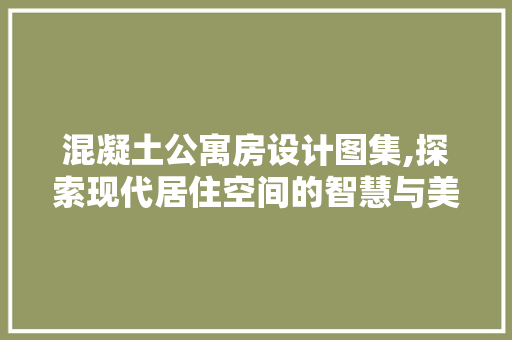 混凝土公寓房设计图集,探索现代居住空间的智慧与美学