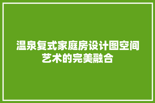 温泉复式家庭房设计图空间艺术的完美融合