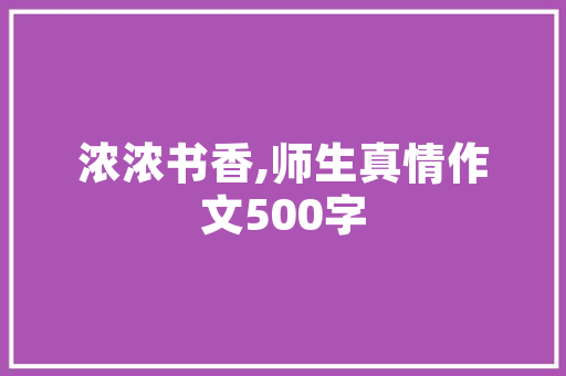 智慧垃圾房改造,城市环境治理的创新方法