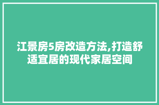 江景房5房改造方法,打造舒适宜居的现代家居空间