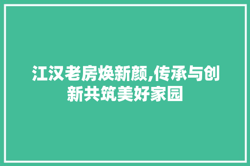 江汉老房焕新颜,传承与创新共筑美好家园