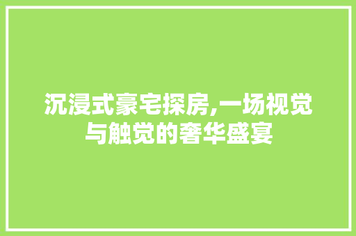 沉浸式豪宅探房,一场视觉与触觉的奢华盛宴
