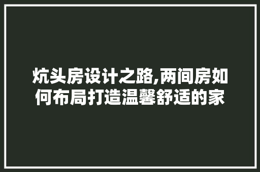 炕头房设计之路,两间房如何布局打造温馨舒适的家