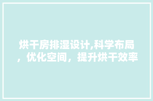 烘干房排湿设计,科学布局，优化空间，提升烘干效率