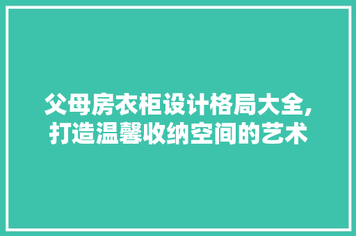 父母房衣柜设计格局大全,打造温馨收纳空间的艺术
