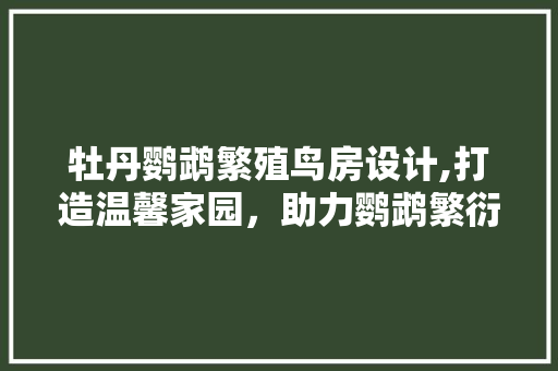 牡丹鹦鹉繁殖鸟房设计,打造温馨家园，助力鹦鹉繁衍生息