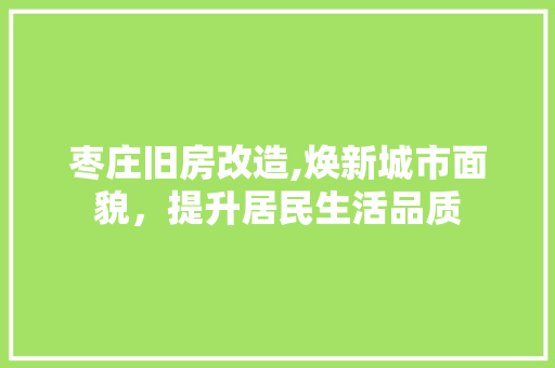 枣庄旧房改造,焕新城市面貌，提升居民生活品质