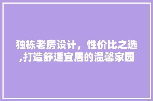 独栋老房设计，性价比之选,打造舒适宜居的温馨家园