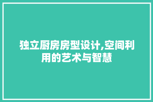独立厨房房型设计,空间利用的艺术与智慧