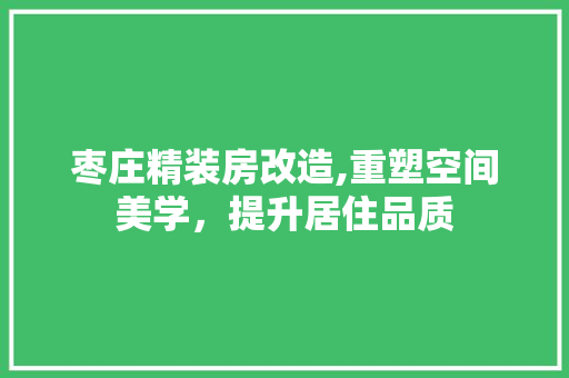 枣庄精装房改造,重塑空间美学，提升居住品质