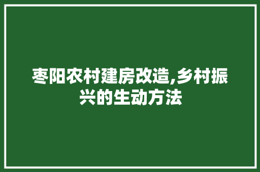 枣阳农村建房改造,乡村振兴的生动方法