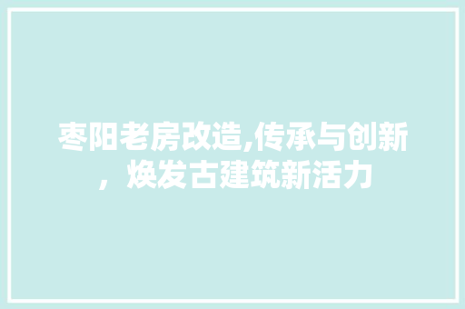 枣阳老房改造,传承与创新，焕发古建筑新活力