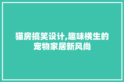 猫房搞笑设计,趣味横生的宠物家居新风尚