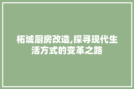 柘城厨房改造,探寻现代生活方式的变革之路
