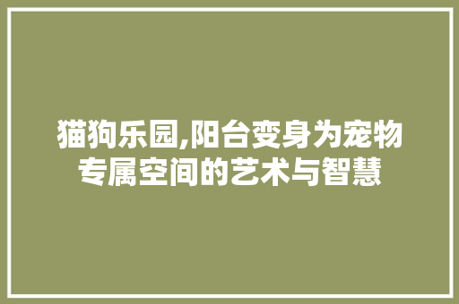 猫狗乐园,阳台变身为宠物专属空间的艺术与智慧