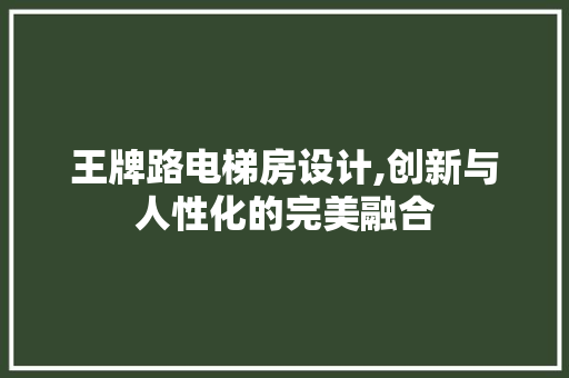王牌路电梯房设计,创新与人性化的完美融合