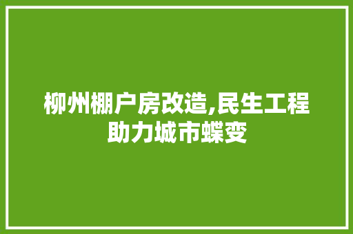 柳州棚户房改造,民生工程助力城市蝶变