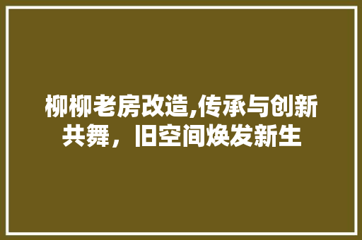 柳柳老房改造,传承与创新共舞，旧空间焕发新生