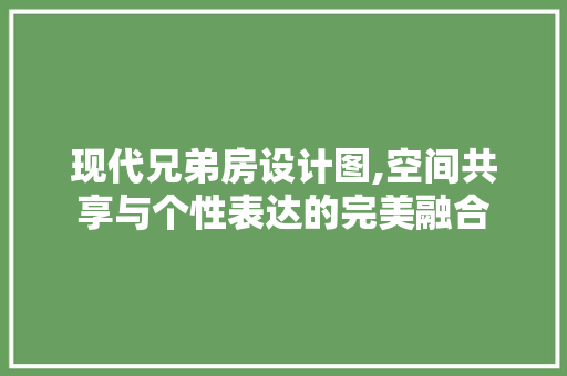 现代兄弟房设计图,空间共享与个性表达的完美融合
