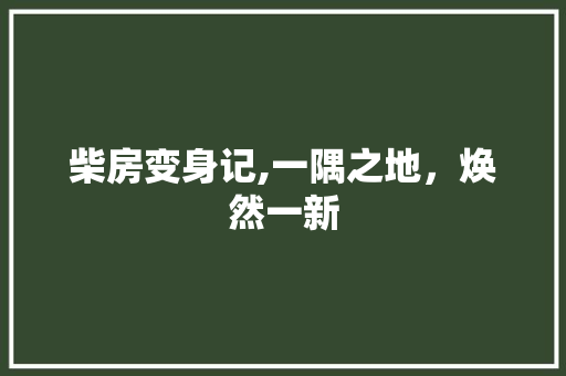 柴房变身记,一隅之地，焕然一新