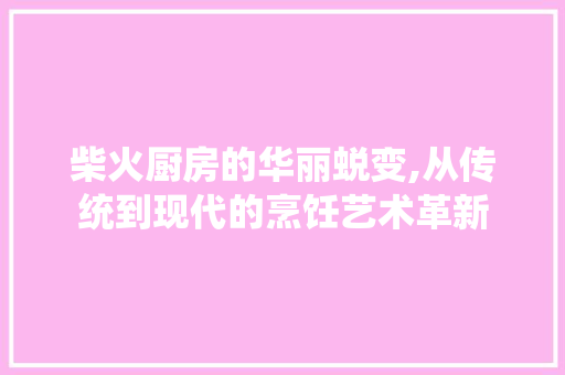 柴火厨房的华丽蜕变,从传统到现代的烹饪艺术革新