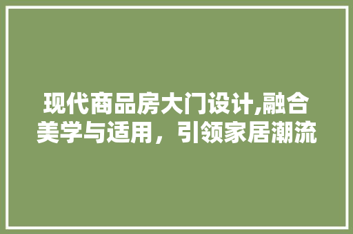 现代商品房大门设计,融合美学与适用，引领家居潮流