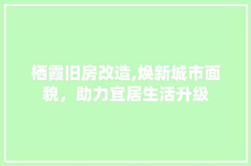 栖霞旧房改造,焕新城市面貌，助力宜居生活升级