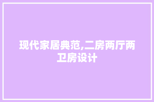 现代家居典范,二房两厅两卫房设计