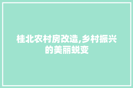 桂北农村房改造,乡村振兴的美丽蜕变