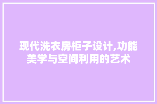 现代洗衣房柜子设计,功能美学与空间利用的艺术