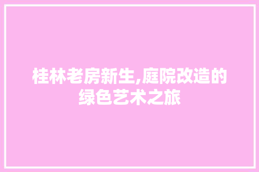 桂林老房新生,庭院改造的绿色艺术之旅