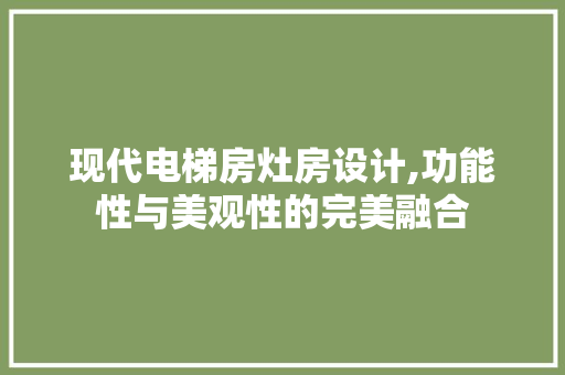 现代电梯房灶房设计,功能性与美观性的完美融合