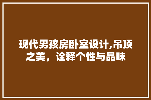 现代男孩房卧室设计,吊顶之美，诠释个性与品味