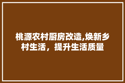 桃源农村厨房改造,焕新乡村生活，提升生活质量