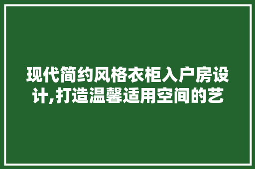 现代简约风格衣柜入户房设计,打造温馨适用空间的艺术之旅