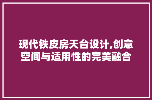 现代铁皮房天台设计,创意空间与适用性的完美融合