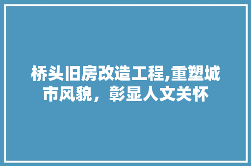 桥头旧房改造工程,重塑城市风貌，彰显人文关怀