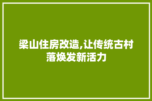 梁山住房改造,让传统古村落焕发新活力