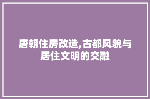 唐朝住房改造,古都风貌与居住文明的交融