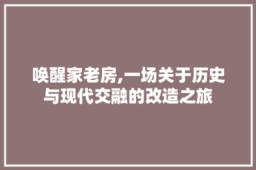 唤醒家老房,一场关于历史与现代交融的改造之旅