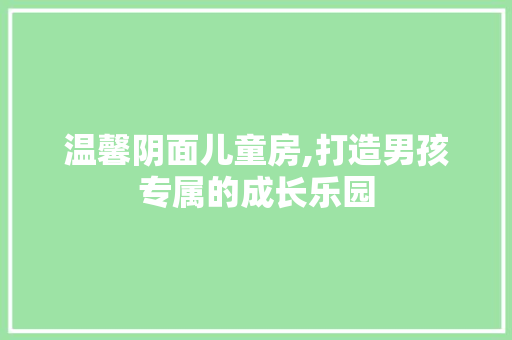 温馨阴面儿童房,打造男孩专属的成长乐园