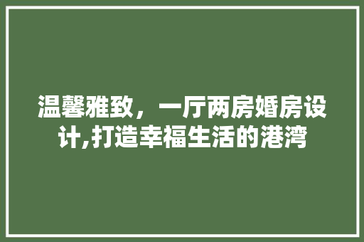 温馨雅致，一厅两房婚房设计,打造幸福生活的港湾