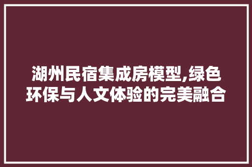 湖州民宿集成房模型,绿色环保与人文体验的完美融合