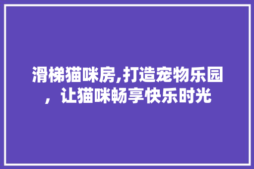 滑梯猫咪房,打造宠物乐园，让猫咪畅享快乐时光