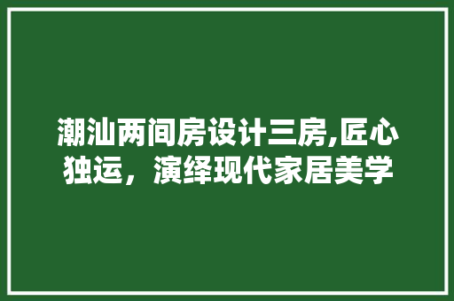 潮汕两间房设计三房,匠心独运，演绎现代家居美学