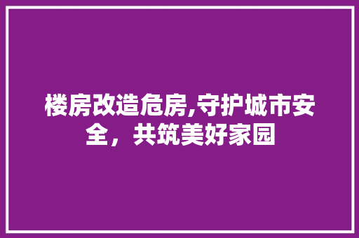 楼房改造危房,守护城市安全，共筑美好家园