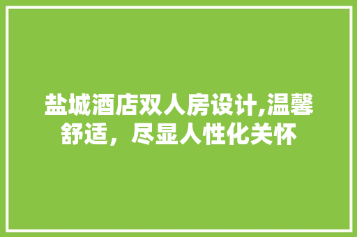 盐城酒店双人房设计,温馨舒适，尽显人性化关怀