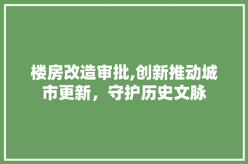 楼房改造审批,创新推动城市更新，守护历史文脉