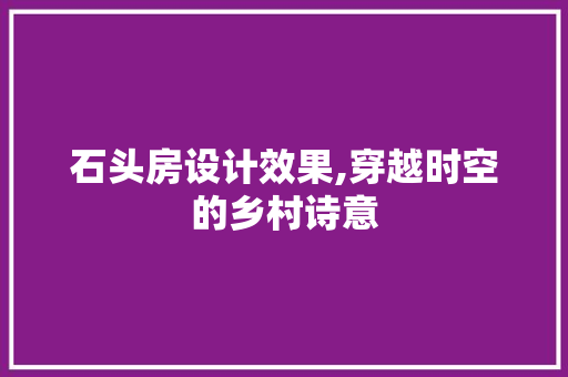 石头房设计效果,穿越时空的乡村诗意