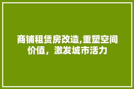 商铺租赁房改造,重塑空间价值，激发城市活力